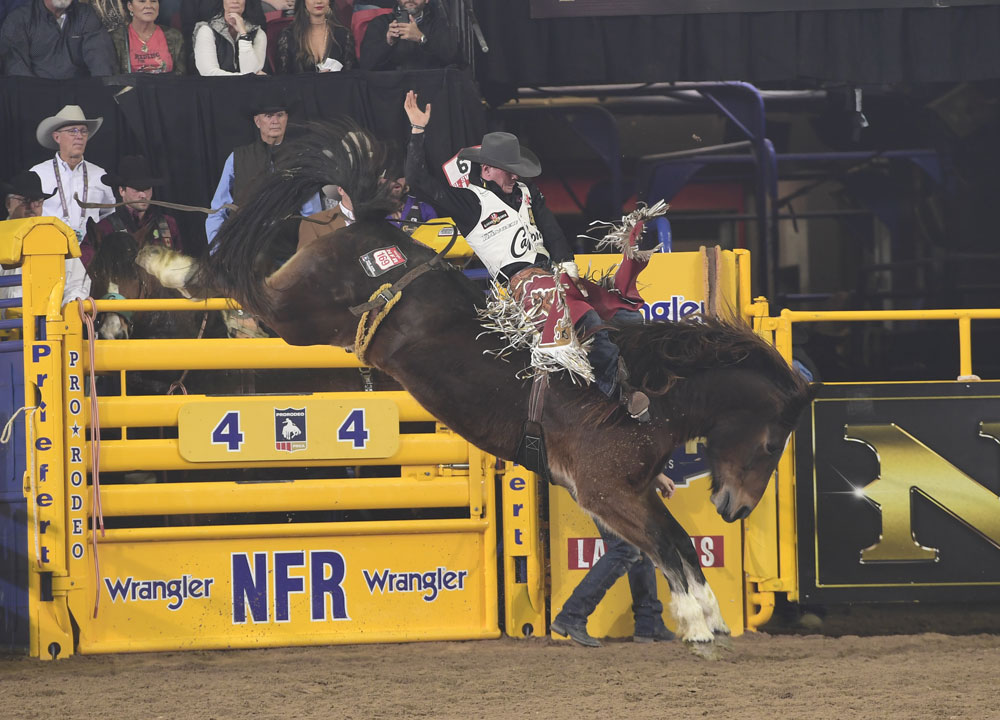 A cowboy Riding a horse at a rodeo.